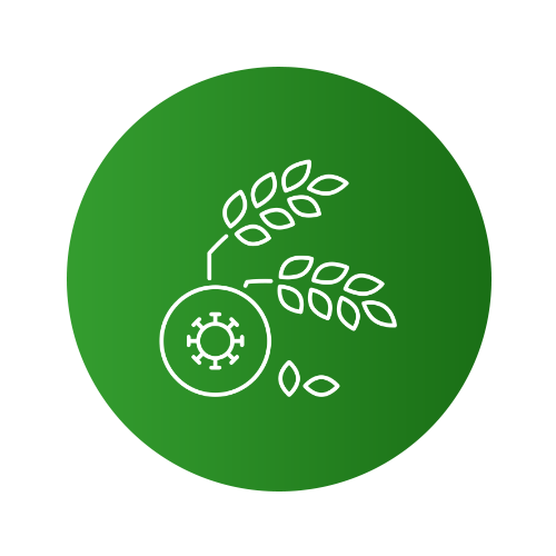 service-image